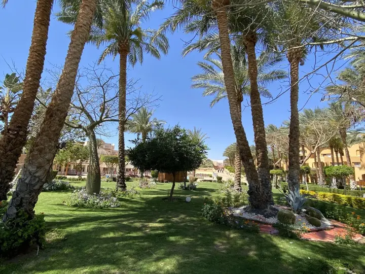Шарм-эш-Шейх (Шарм-эль-Шейх): Sharm Grand Plaza Resort - Families and Couples Only.