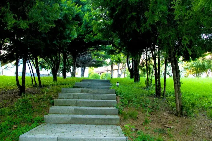 Шеки: Sheki Olimpiya Hotel & Resort