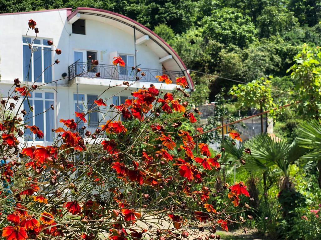 Sanni Guest House — фото 5