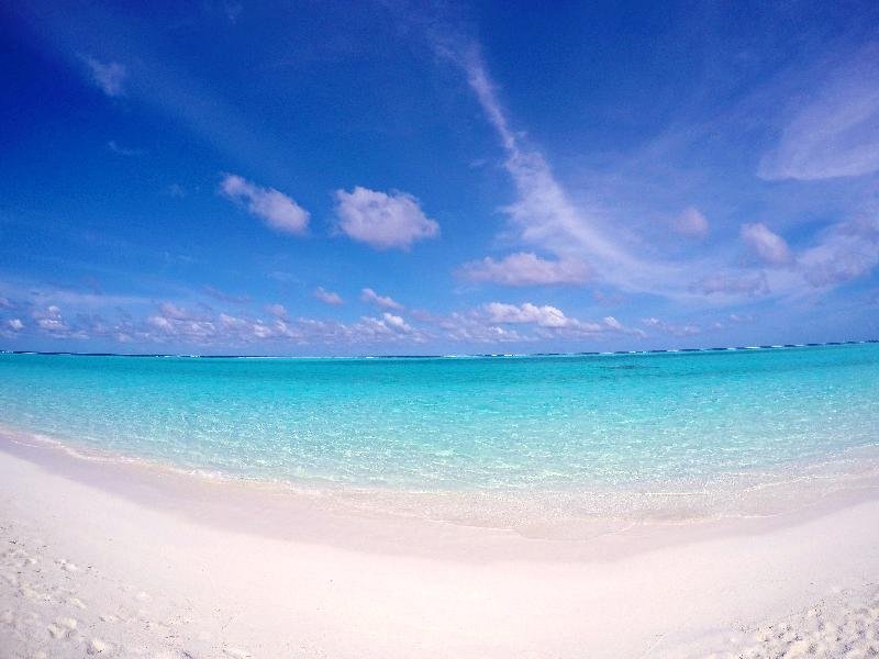 Holiday Grand Thoddoo — фото 2