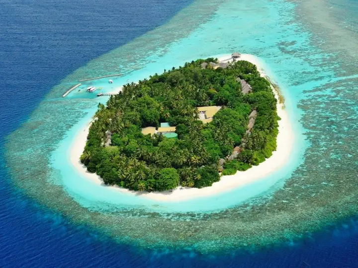 Madoogali Resort & Spa Maldives — фото 2