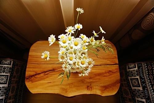 Местиа: Guest House Arina