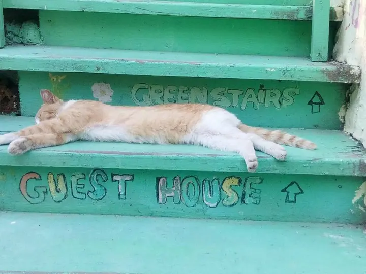 Тбилиси: Green Stairs