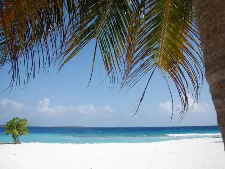 Dharavandhoo Stay — фото 6