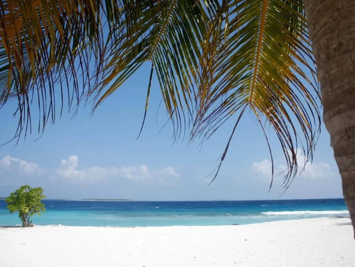 Атолл Баа: Dharavandhoo Stay