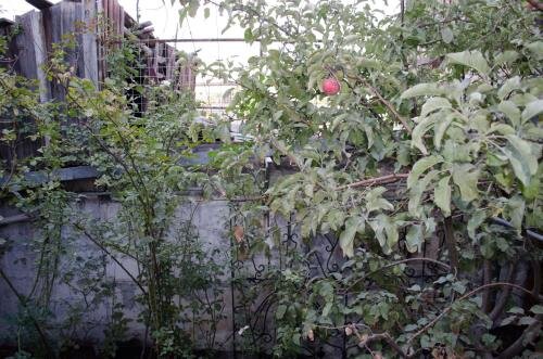 Гюмри: Armines B&B