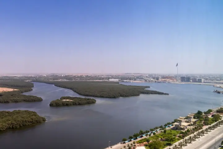 Рас-эль-Хайма: Mangrove Hotel
