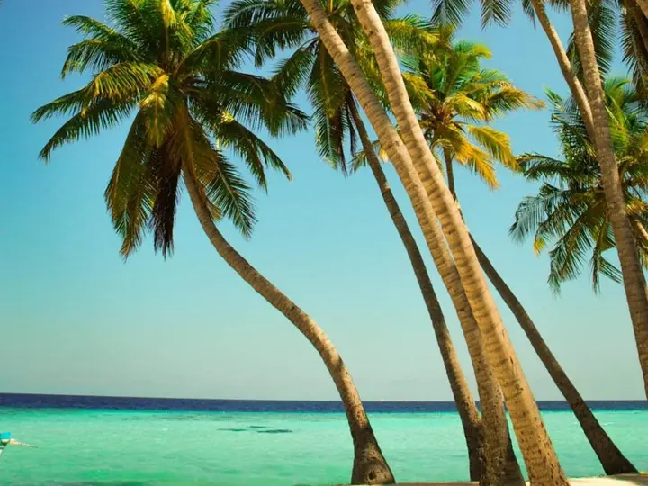 Маафуши: Arena Lodge Maldives