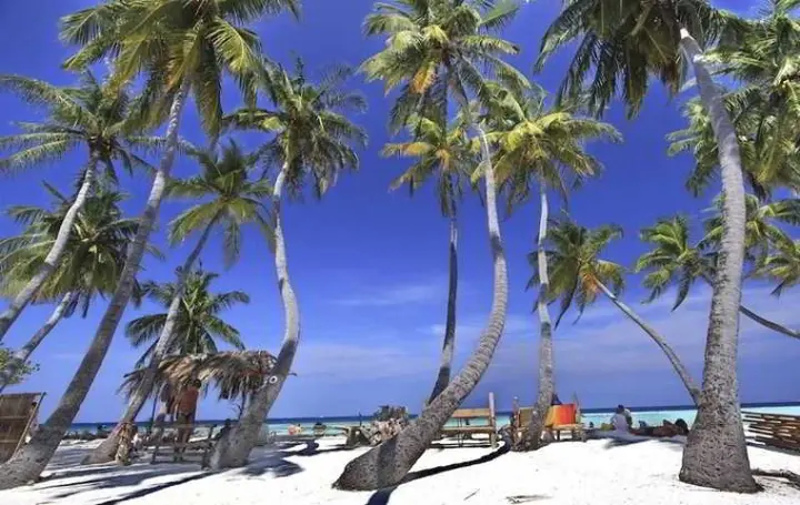Маафуши: Arena Lodge Maldives