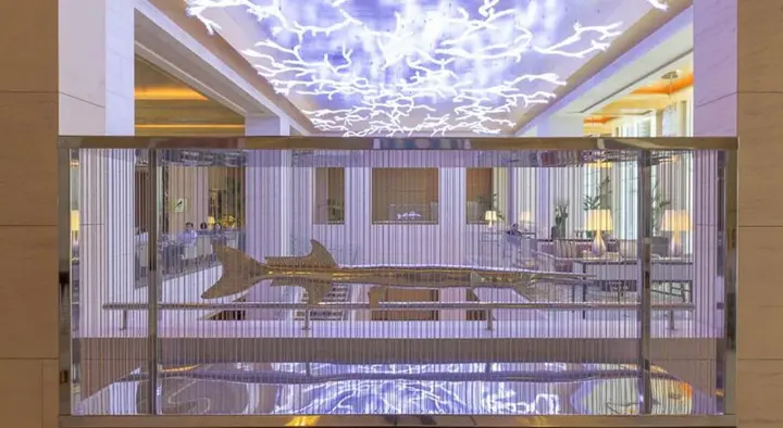 Дубай: The Ritz-Carlton Executive Residences