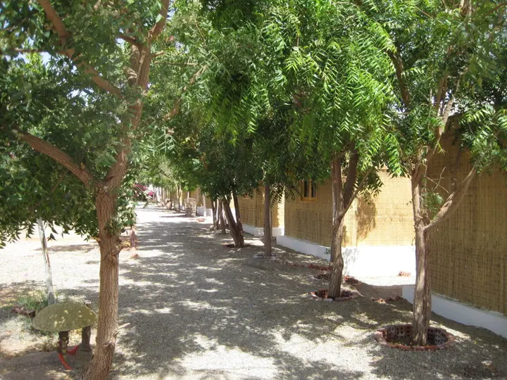 Шарм-эш-Шейх (Шарм-эль-Шейх): Umbi Sharks Bay Diving Village