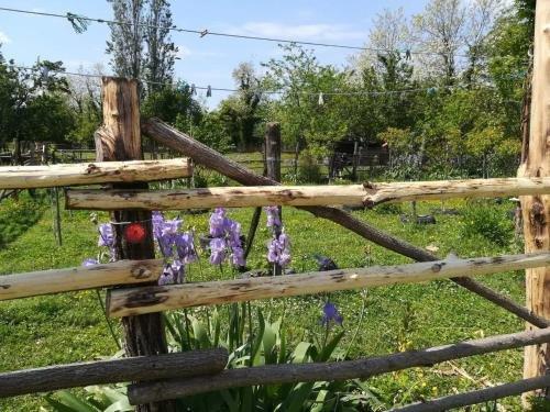 Сатаплия: Guesthouse Genacvale in Bandza