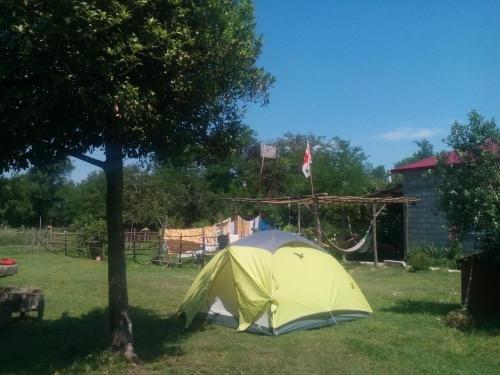 Сатаплия: Guesthouse Genacvale in Bandza