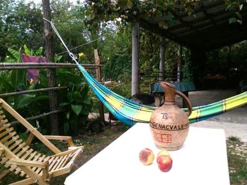 Сатаплия: Guesthouse Genacvale in Bandza