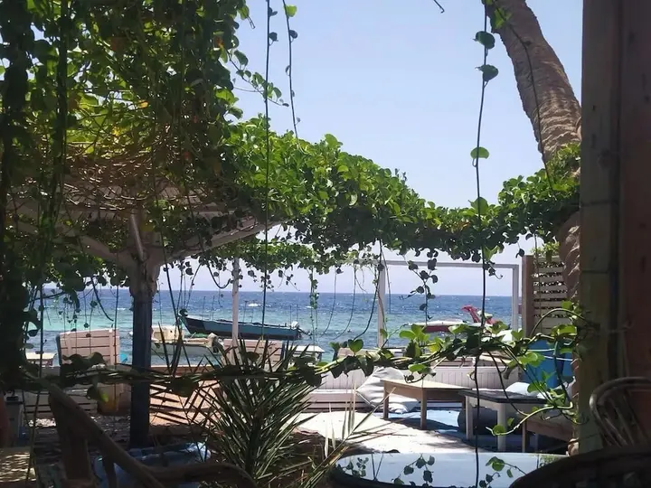 Дахаб: El Primo Dahab Hotel
