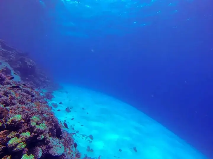 Дахаб: El Primo Dahab Hotel