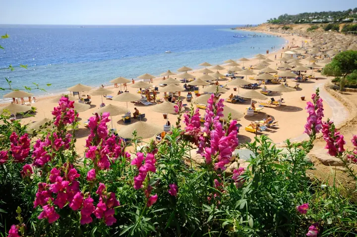 Шарм-эш-Шейх (Шарм-эль-Шейх): Domina King's Lake Resort
