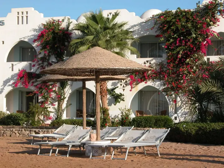 Шарм-эш-Шейх (Шарм-эль-Шейх): Domina King's Lake Resort