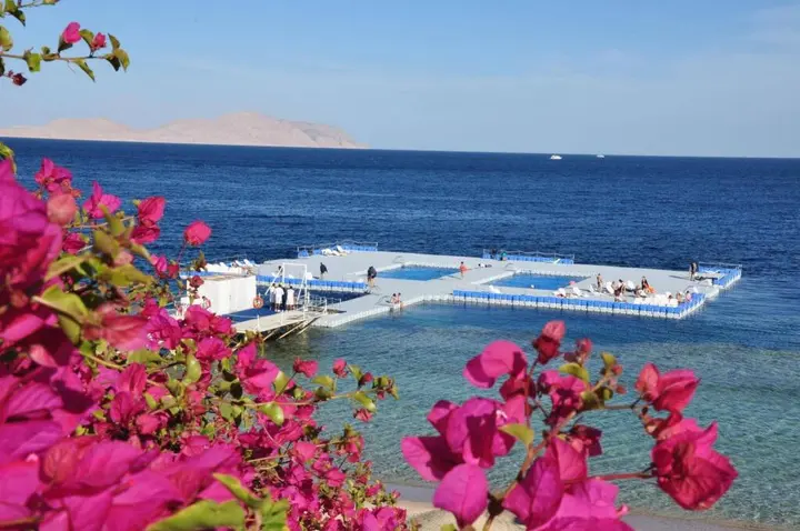 Шарм-эш-Шейх (Шарм-эль-Шейх): Domina King's Lake Resort