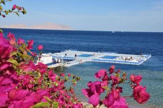 Шарм-эш-Шейх (Шарм-эль-Шейх): Domina King's Lake Resort
