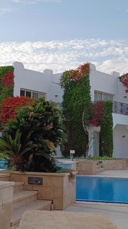 Шарм-эш-Шейх (Шарм-эль-Шейх): Eden Rock Hotel