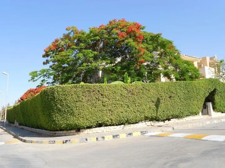 Эль-Аламейн: Вилла Marina North Coast Egypt