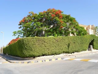 Эль-Аламейн: Вилла Marina North Coast Egypt