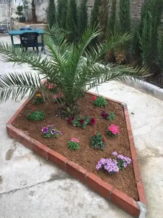 Батуми: Vajas Guest House