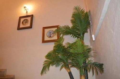 Батуми: Vajas Guest House