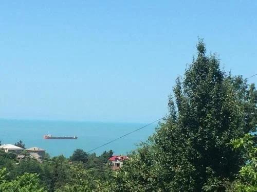 Батуми: Vajas Guest House