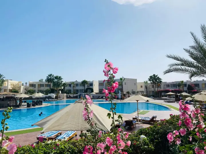 Шарм-эш-Шейх (Шарм-эль-Шейх): Sharm Reef Hotel