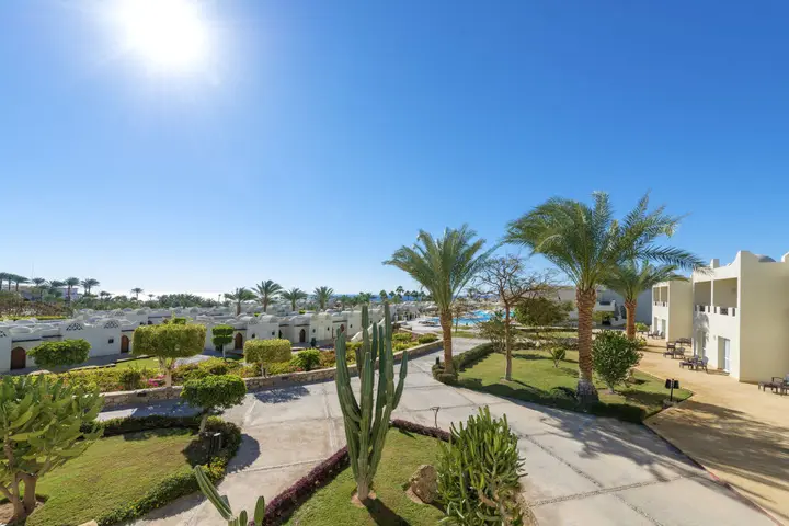 Шарм-эш-Шейх (Шарм-эль-Шейх): Reef Oasis Beach Resort