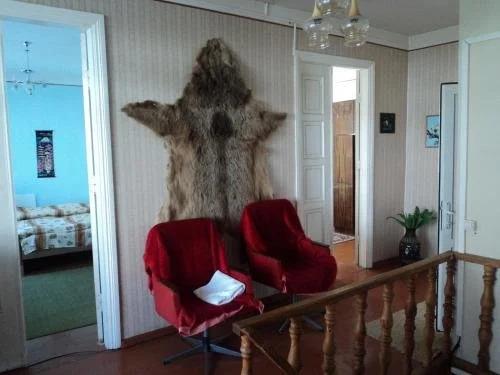Степанцминда: Guest House Cico