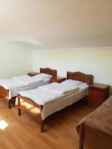 Степанцминда: Tsitsia and Stepan Guest House