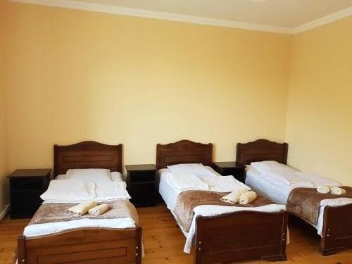 Степанцминда: Tsitsia and Stepan Guest House