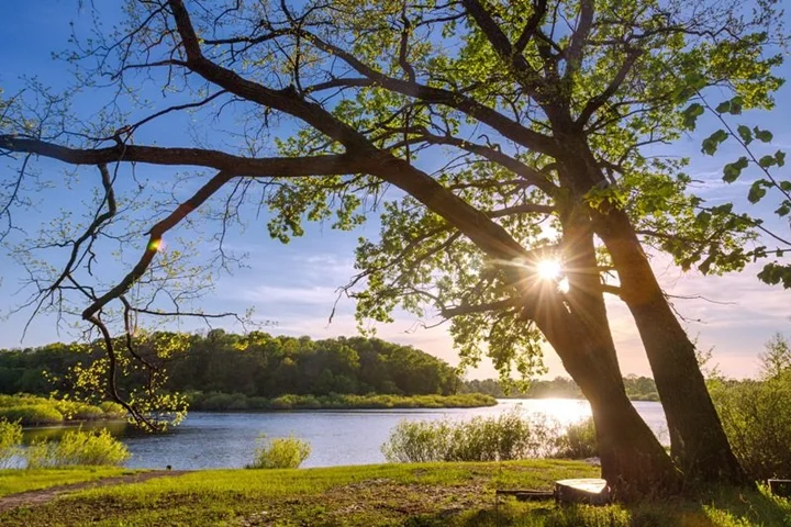 Гомель: Гостинично-развлекательный комплекс Ранчо