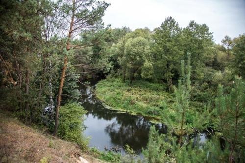 Брест: Lesnaya Paulinka