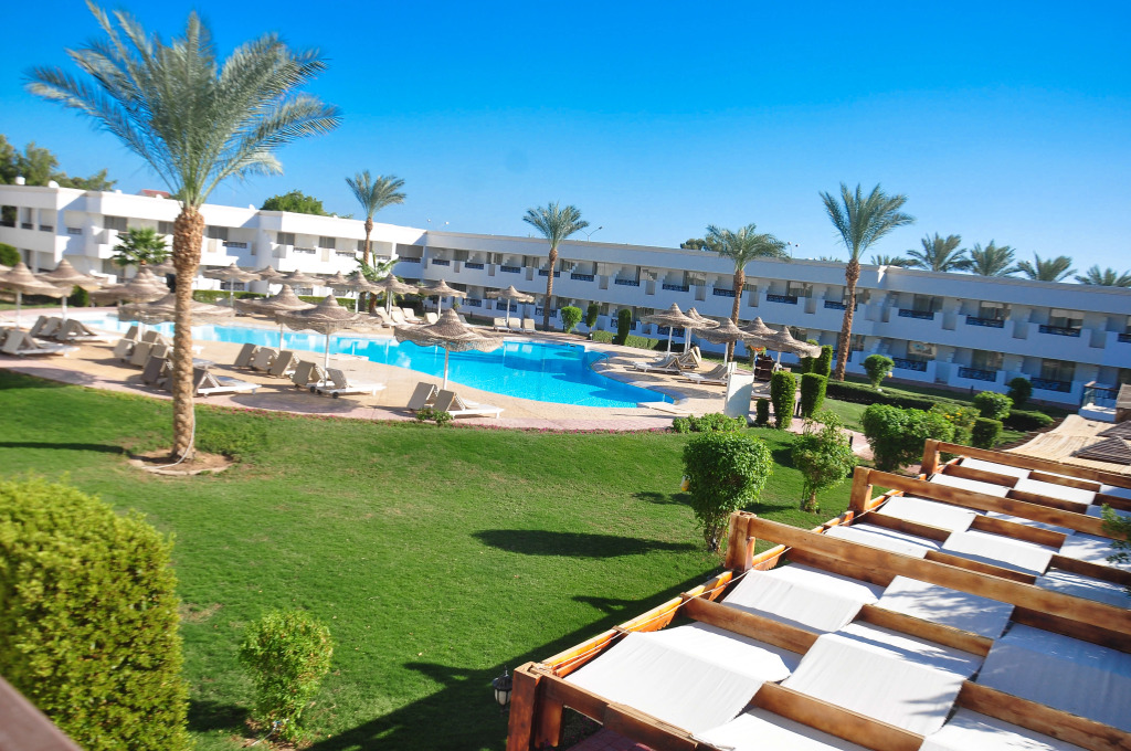 Шарм-эш-Шейх (Шарм-эль-Шейх): Viva Sharm