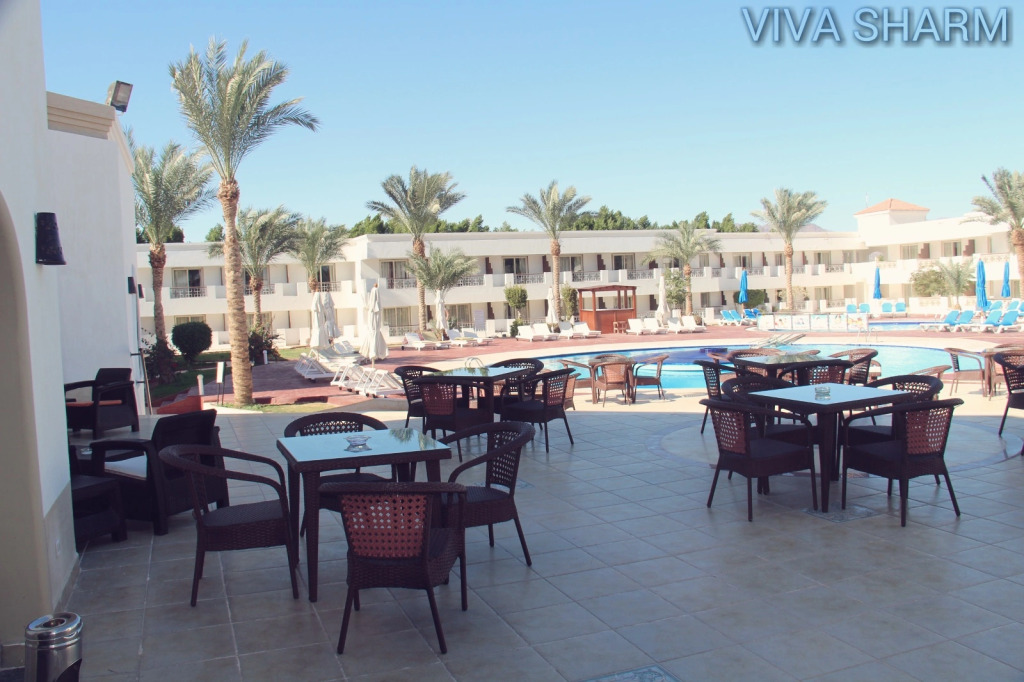 Шарм-эш-Шейх (Шарм-эль-Шейх): Viva Sharm
