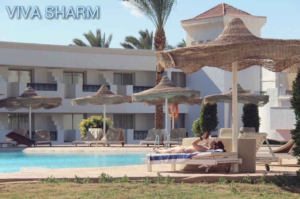 Шарм-эш-Шейх (Шарм-эль-Шейх): Viva Sharm