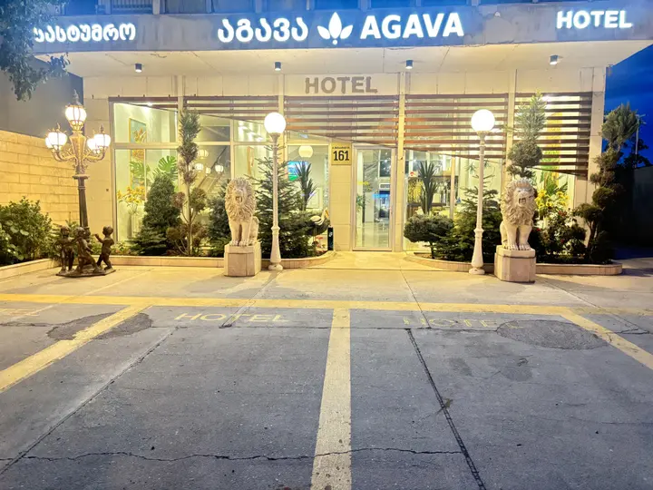 Тбилиси: Отель Agava