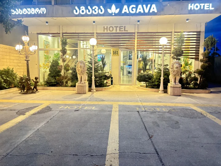 Тбилиси: Отель Agava