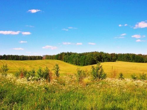 Хатежино: Usadba Uzgorie-VIP near Minsk