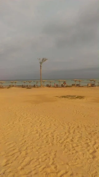 Марса Алам: Laguna Beach Marsa Resort