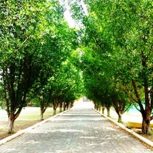 Гантут: Five Continents Ghantoot Beach Resort