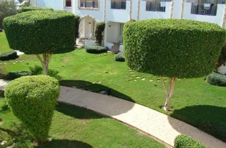 Шарм-эш-Шейх (Шарм-эль-Шейх): Melton Tiran Resort
