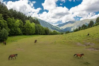 Омало: Hotel Tusheti