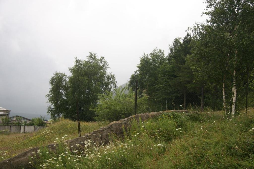 Степанцминда: HQ of Nove Sujashvili