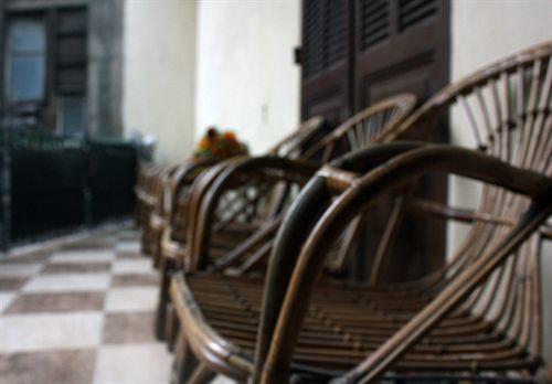 Каир: Hola Cairo Hostel