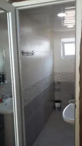 Боржоми: Tolo,s guest house